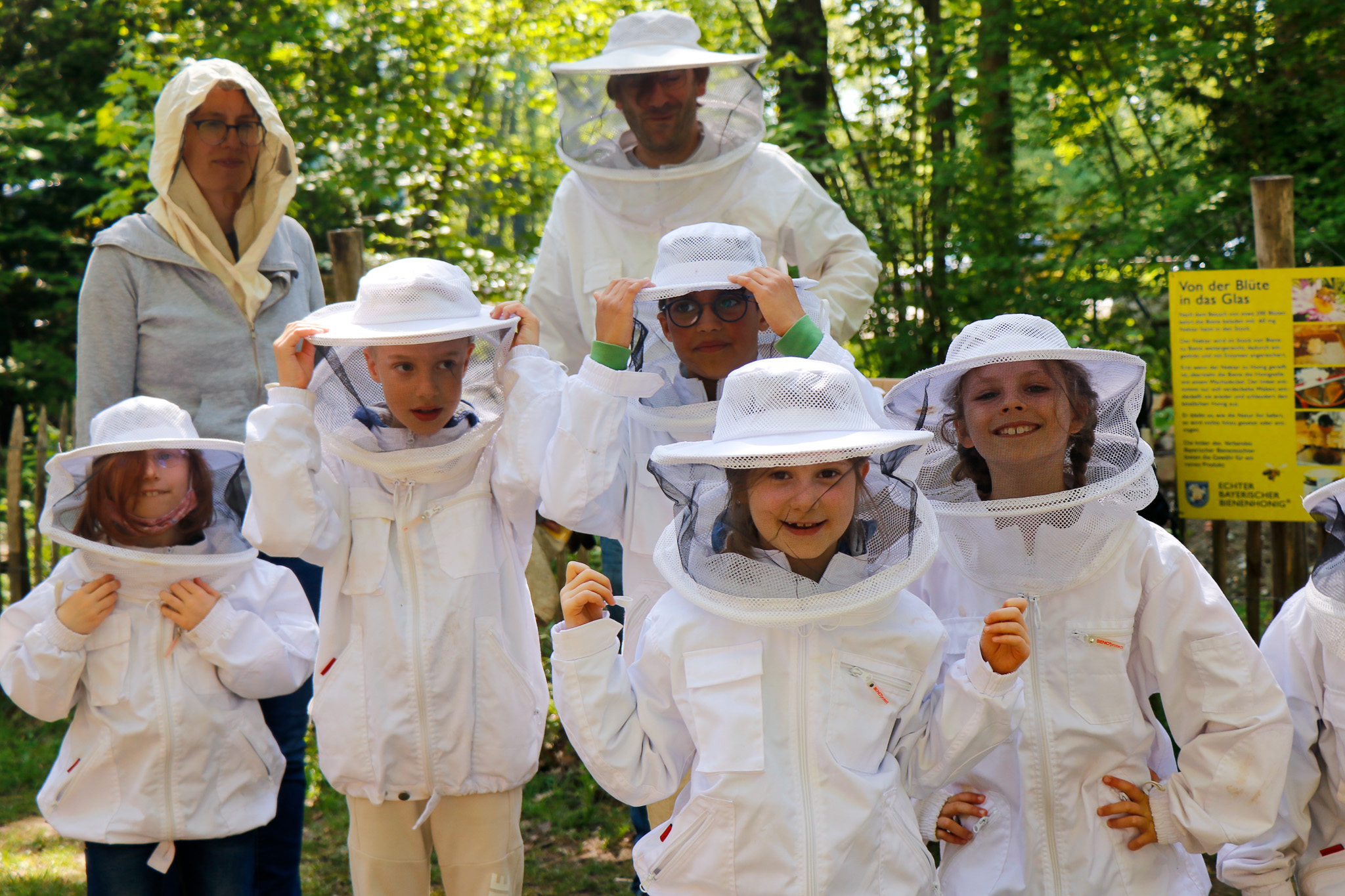 Schule & Kita: Bienenwelten