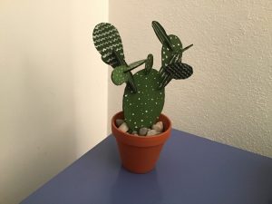 kaktus9