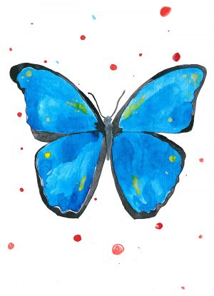 Somerglückspost_Schmetterling