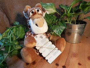 06 Giraffenübersetzer