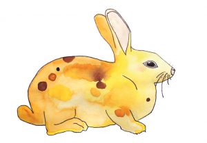 iz art Ferienatelier / PASPIELkultur e.V.