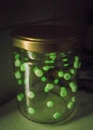 LEOsSonntagszeit_Gluehwuermchen2