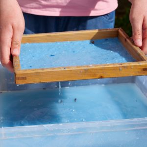 LEOsSonntagszeit_Papier1