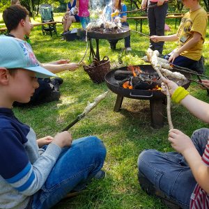 Mammut Stein Feuerschein – Jagen und Sammeln