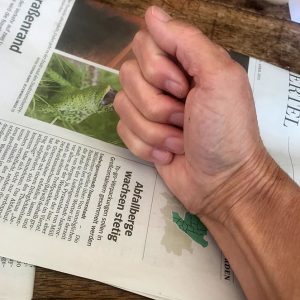 Mitmachen_Planzendruck5