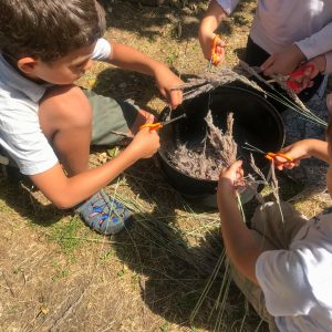 Naturerfahrungsraum2