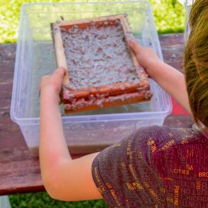 Stadtbibliothek_Papierschöpfen1