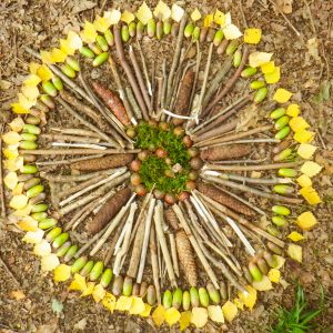 Waldnasen2_PASPIELkultur